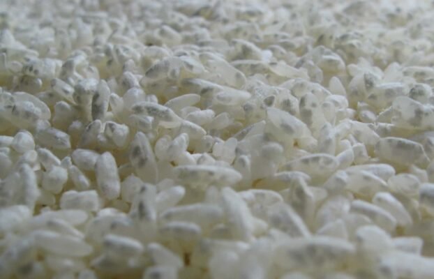 Sake 101: What is Koji?
