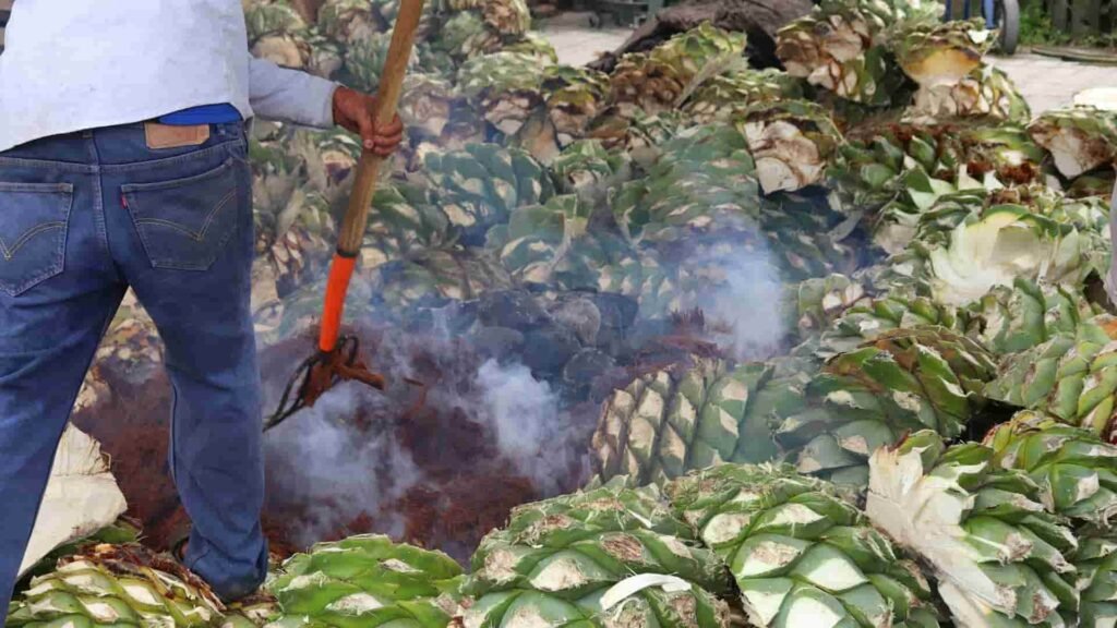 what is mezcal